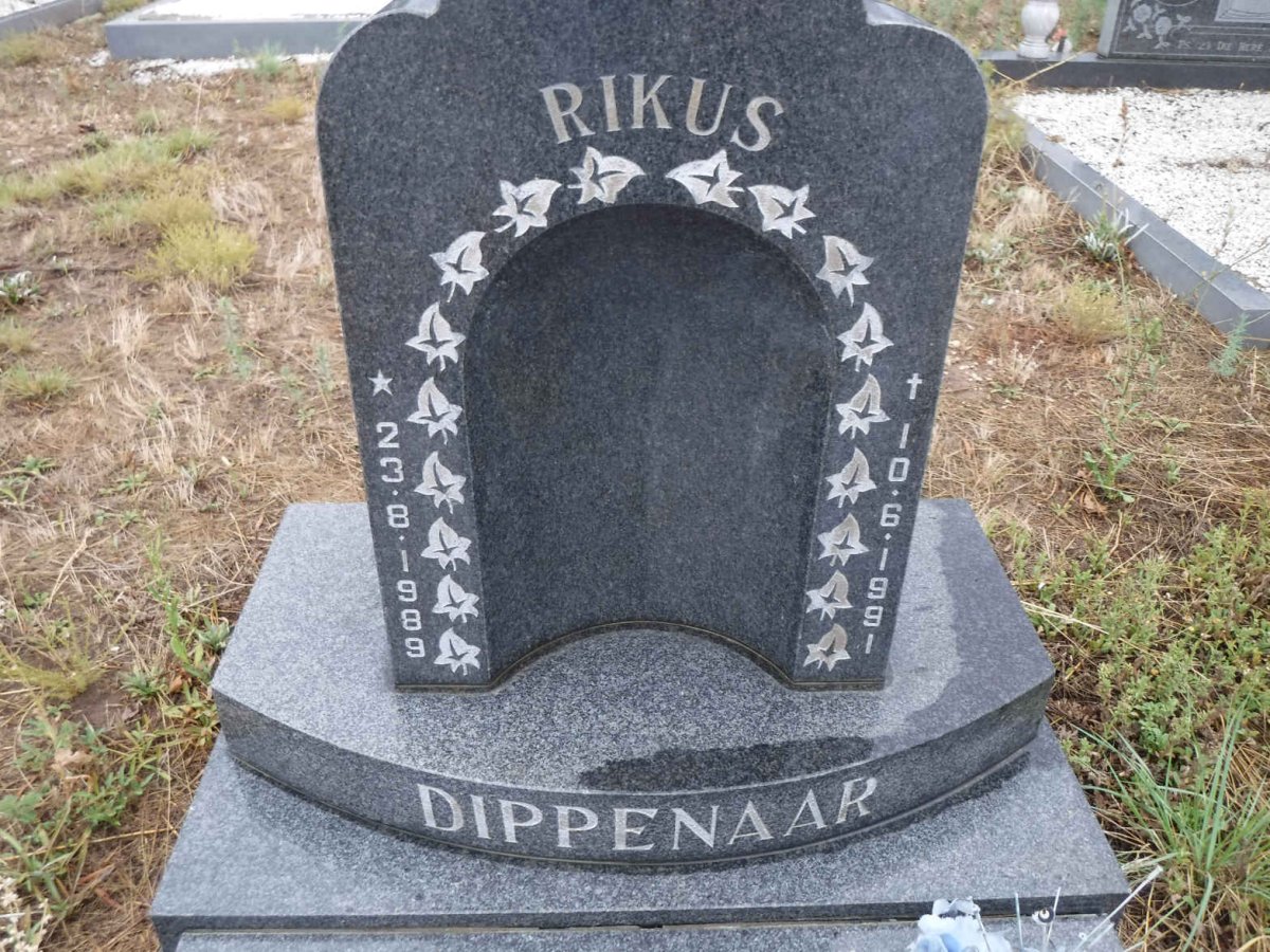 DIPPENAAR Rikus 1989-1991