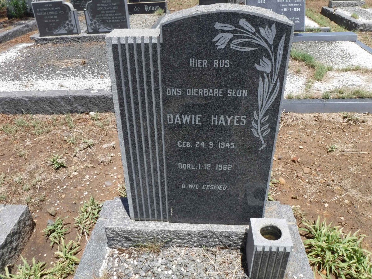 HAYES Dawie 1945-1962