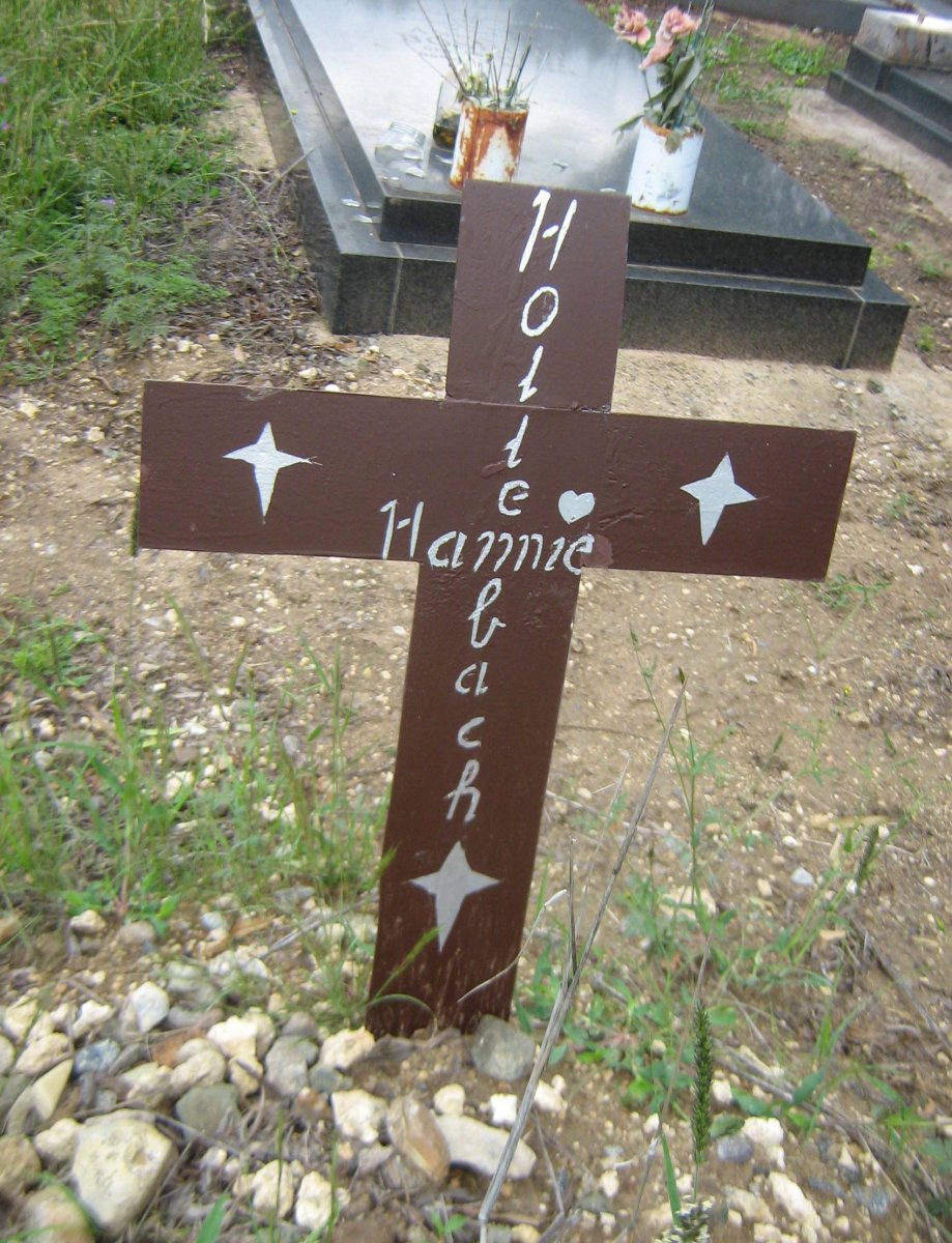 HOLLENBACH Hannie
