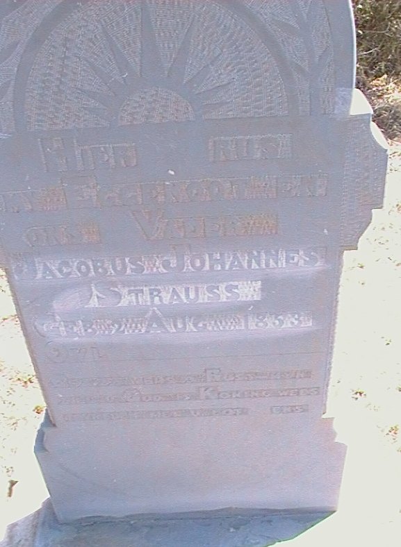STRAUSS Jacobus Johannes 1853 -