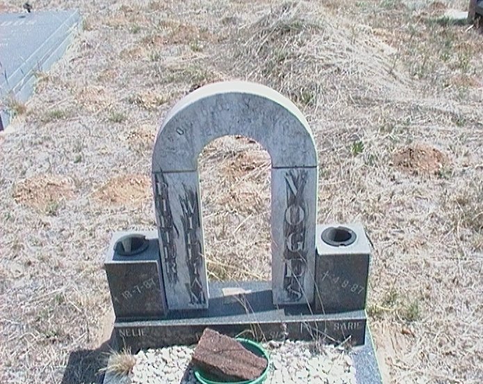 VOGES Pieter William 1987-1987