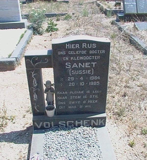 VOLSCHENK Sanet 1984-1985