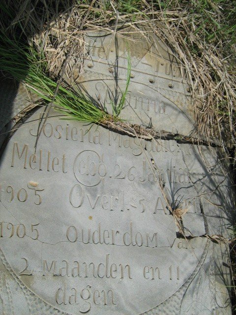 MELLET Susanna Josiena Mag? 1905-1905