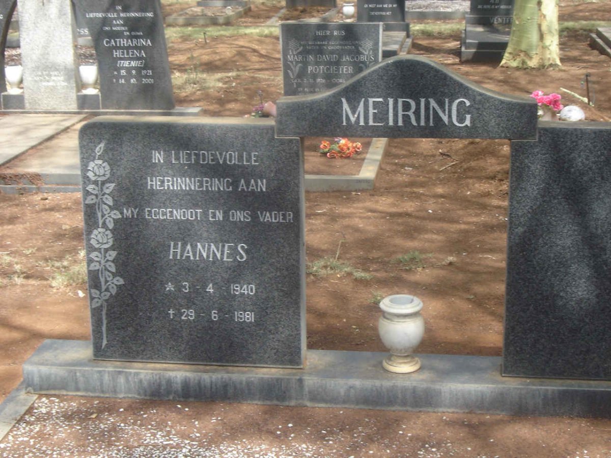 MEIRING Hannes 1940-1981