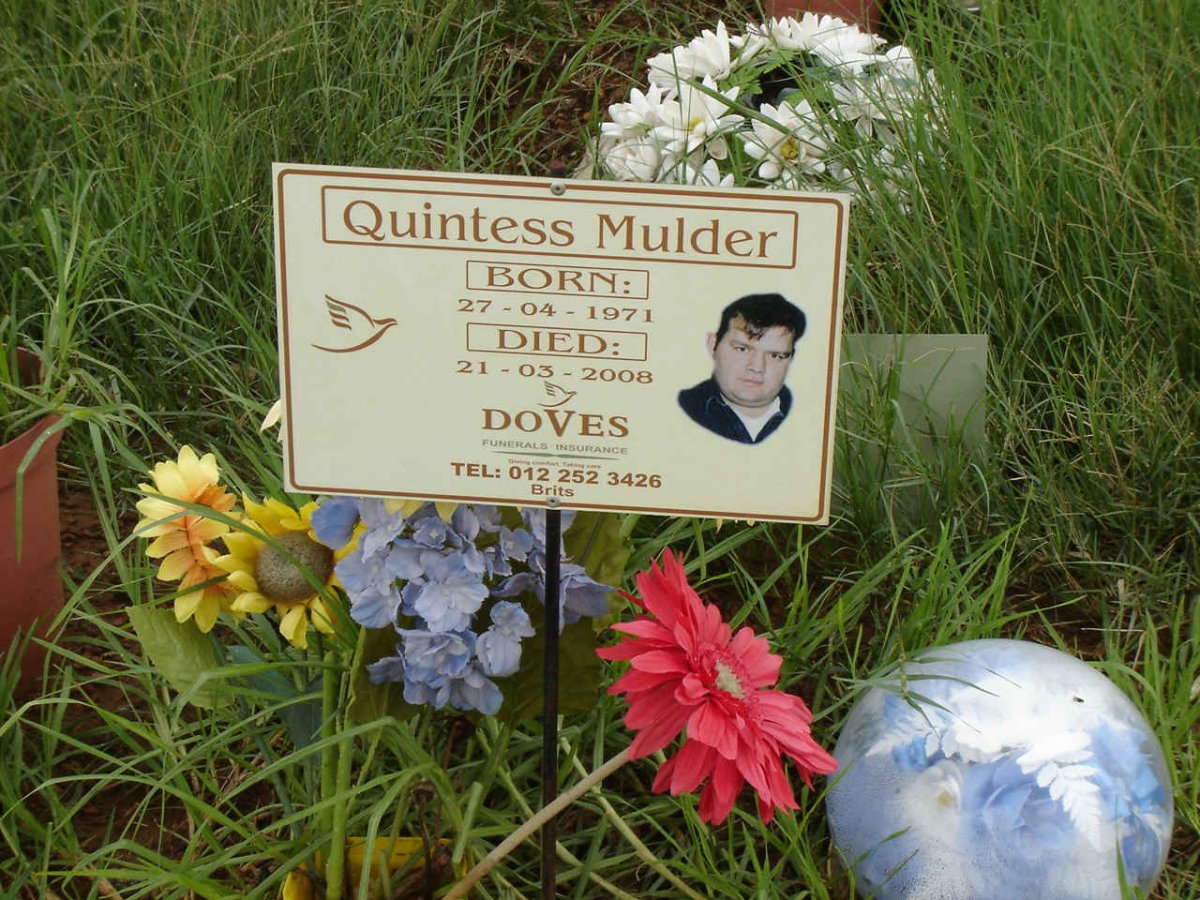 MULDER Quintess 1971-2008
