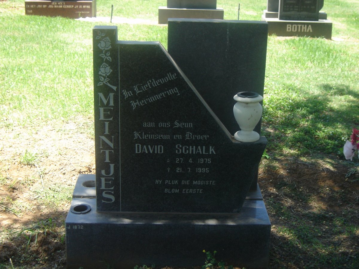 MEINTJES David Schalk 1975-1995
