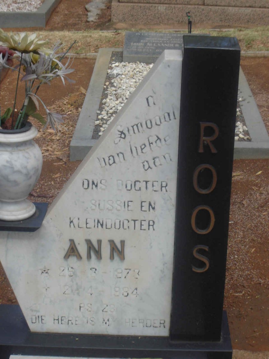 ROOS Ann 1978-1984