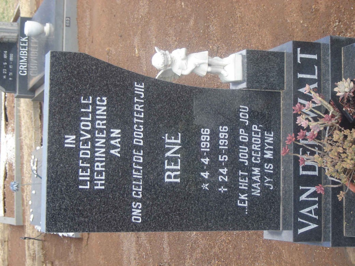 WALT Rene, van der 1996-1996