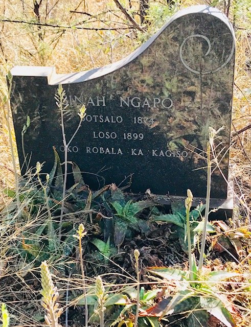 NGAPO Sinah 1874-1899