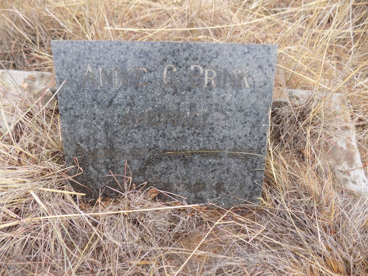 BRINK Annie C. nee MEIRING 1872-1926