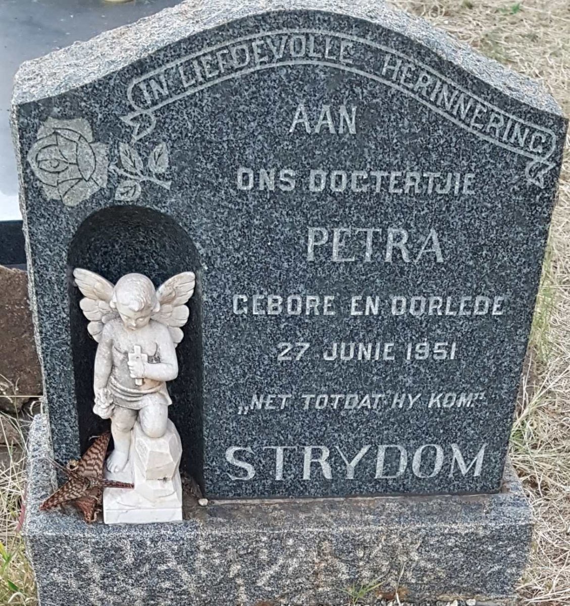 STRYDOM Petra 1931-1931