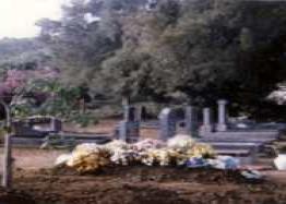 1. OVERVIEW