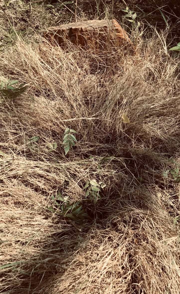 ?