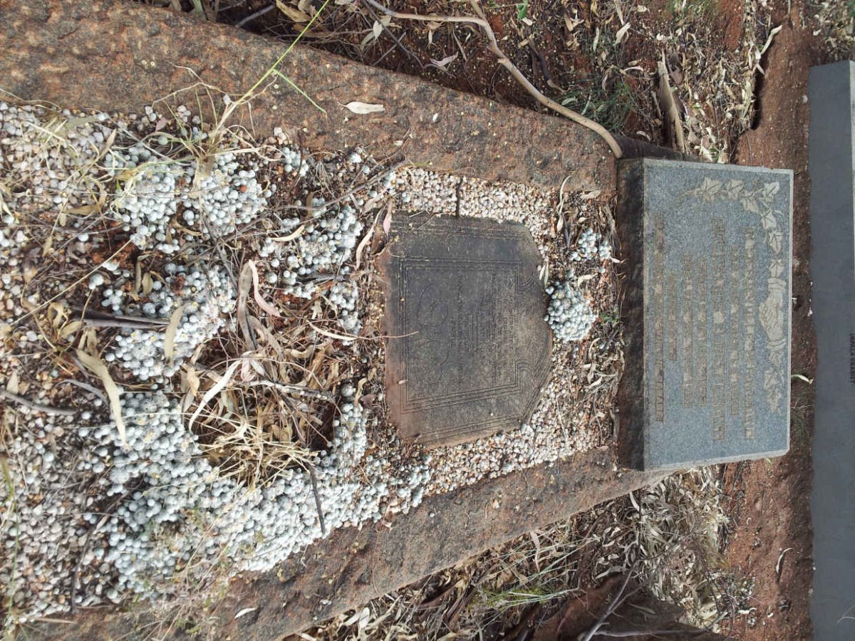 ENGELBRECHT Cornelius 1872-1951 &amp; Magrietha Petronella POTGIETER 1877-1936