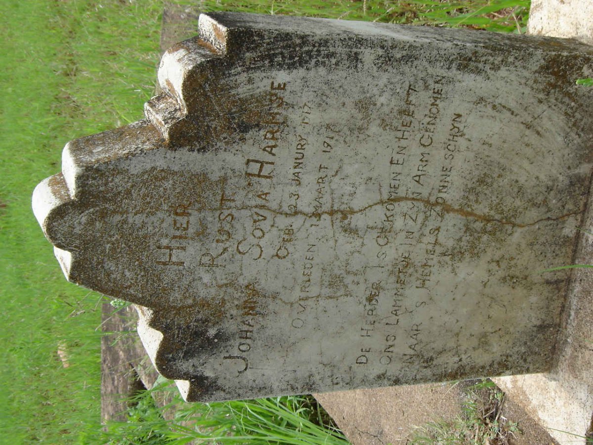 HARMSE Johanna Sovia 1917-1917