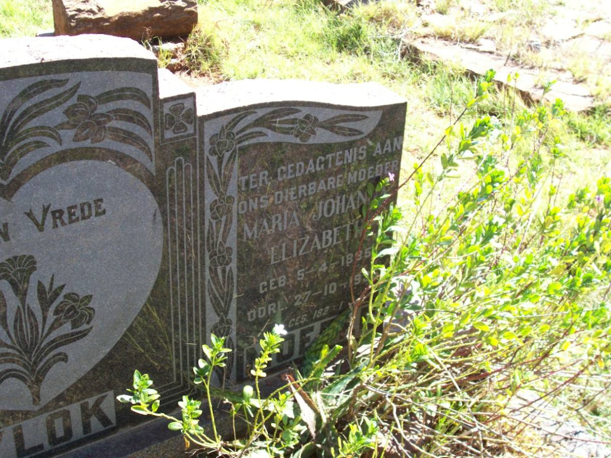 VLOK Maria Johanna Elizabeth 1896-19??