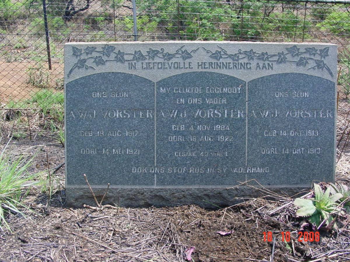 VORSTER A.W.J. 1917-1921 :: VORSTER A.W.J. 1884-1922 :: VORSTER A.W.J. 1913-1913