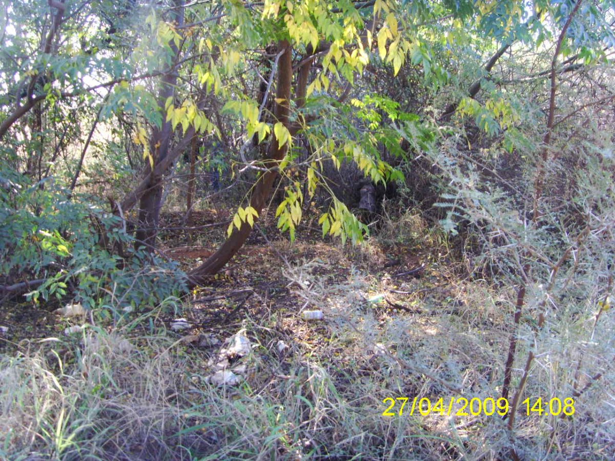 1. Overview - cemetery between the bushes