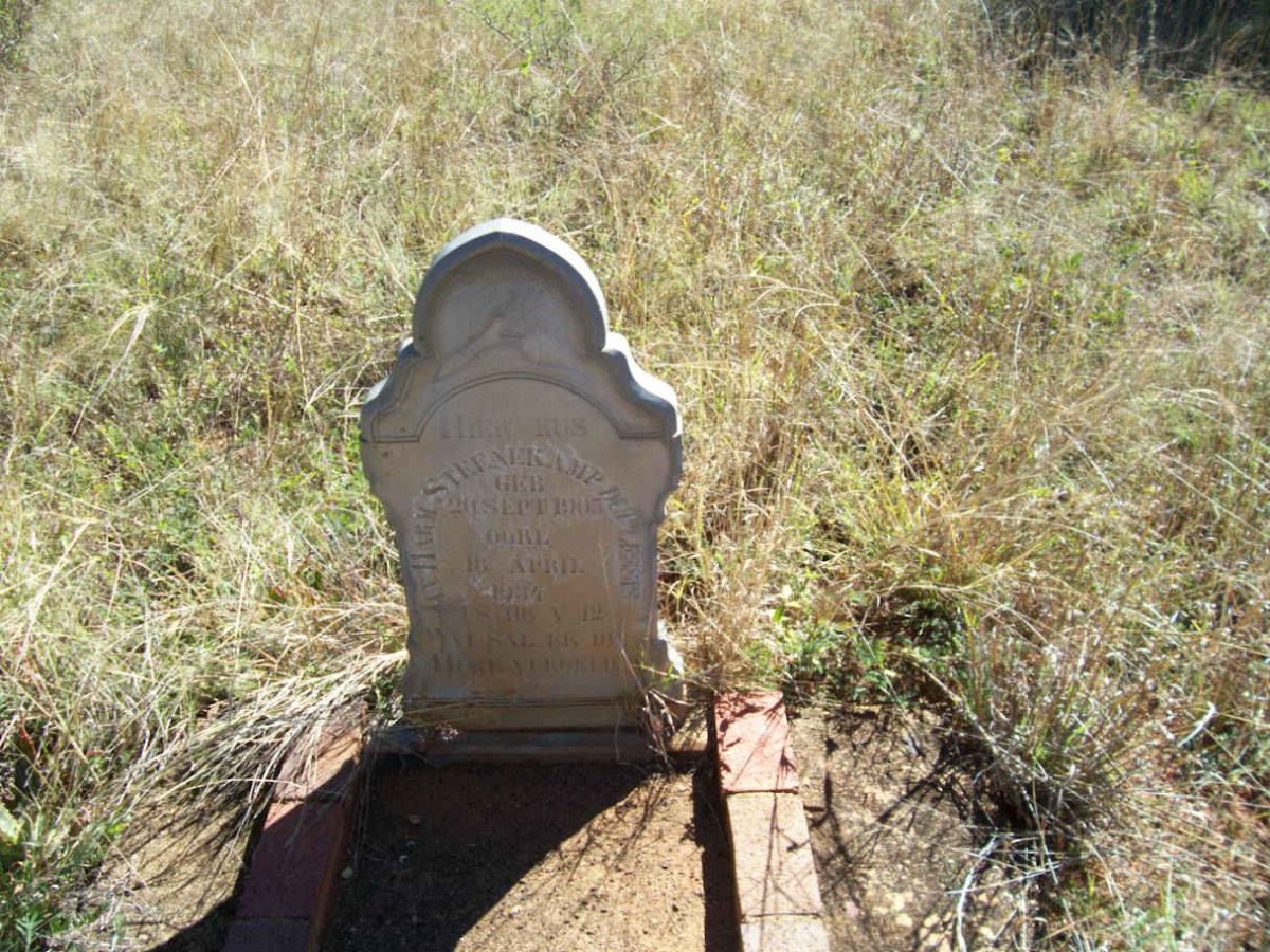 STEENKAMP ? 1905-1934