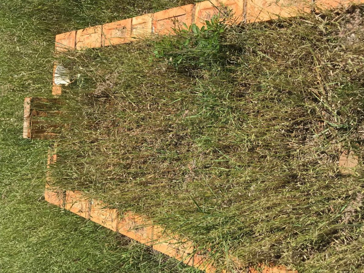 ?