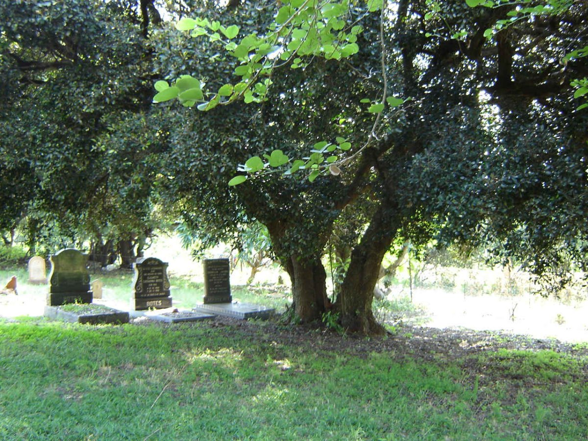 1. Overview