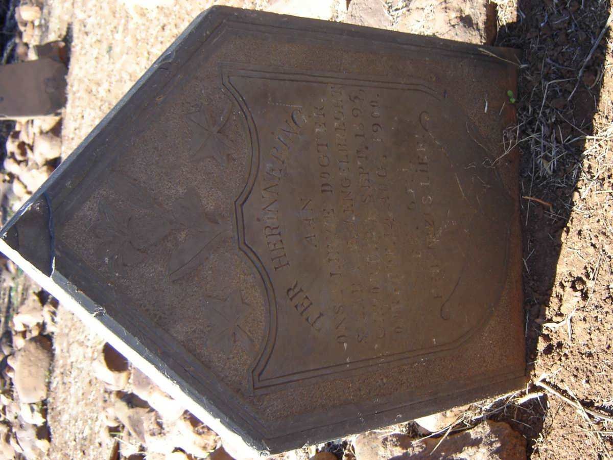 ENGELBRECHT Susara E.J. 1895-1900