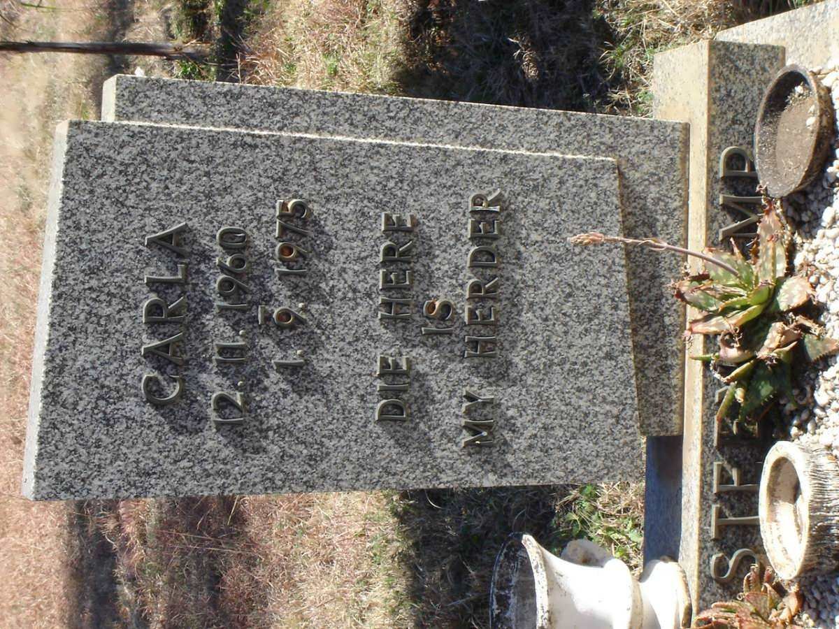 STEENKAMP Carla 1960-1975