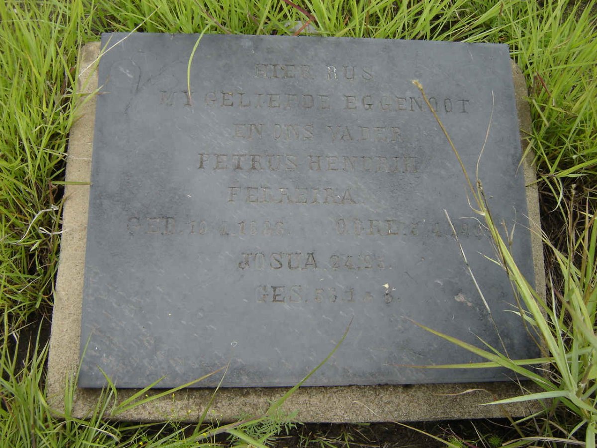 FERREIRA Petrus Hendrik  1888-195?