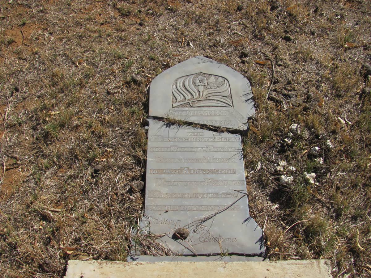 BORNMAN Elizabeth ? nee V.D. MERWE 1901-