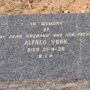 YORK Alfred -1928