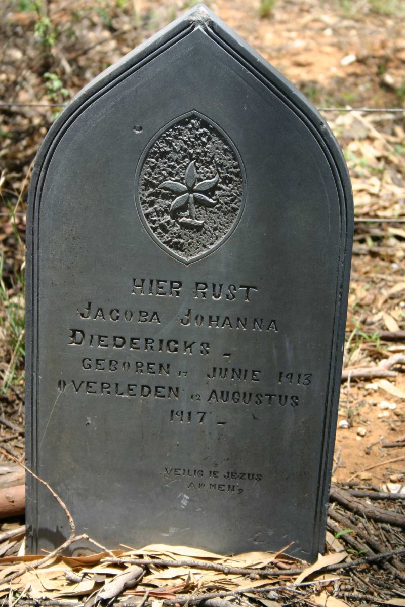 DIEDERICKS Jacoba Johanna 1913-1917