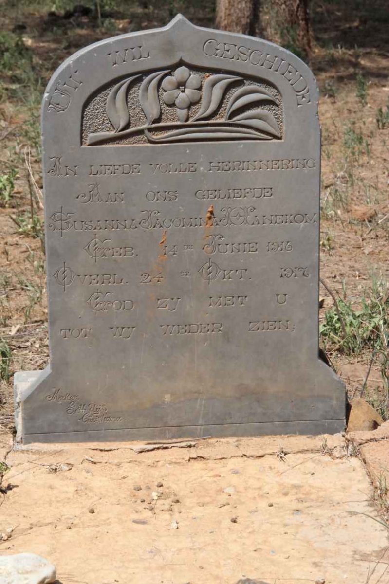 HANEKOM Susanna Jacomina 1916-1917