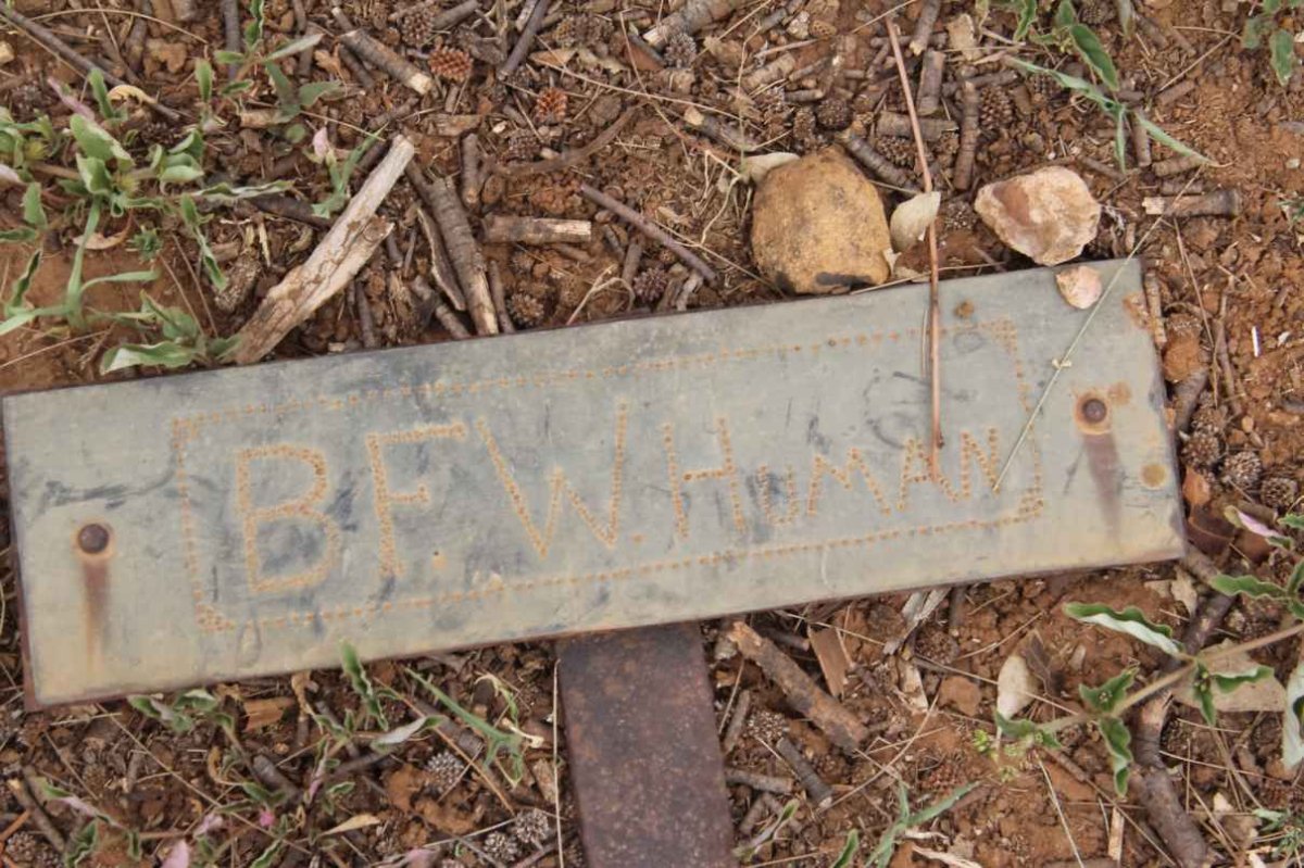 HUMAN B.F.W.