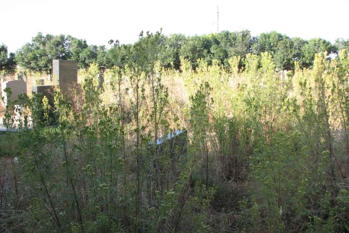 4. Overview