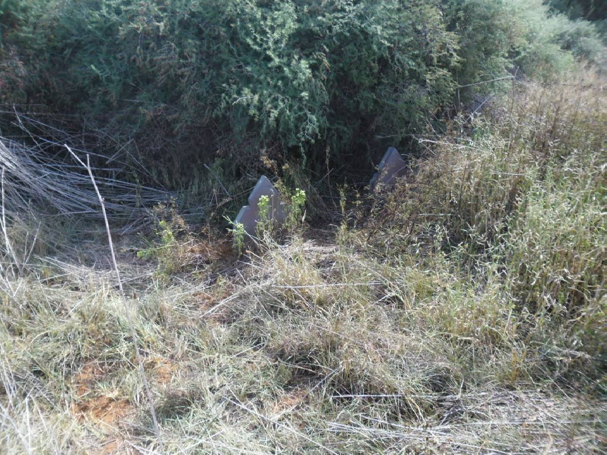 1. Overview on graves