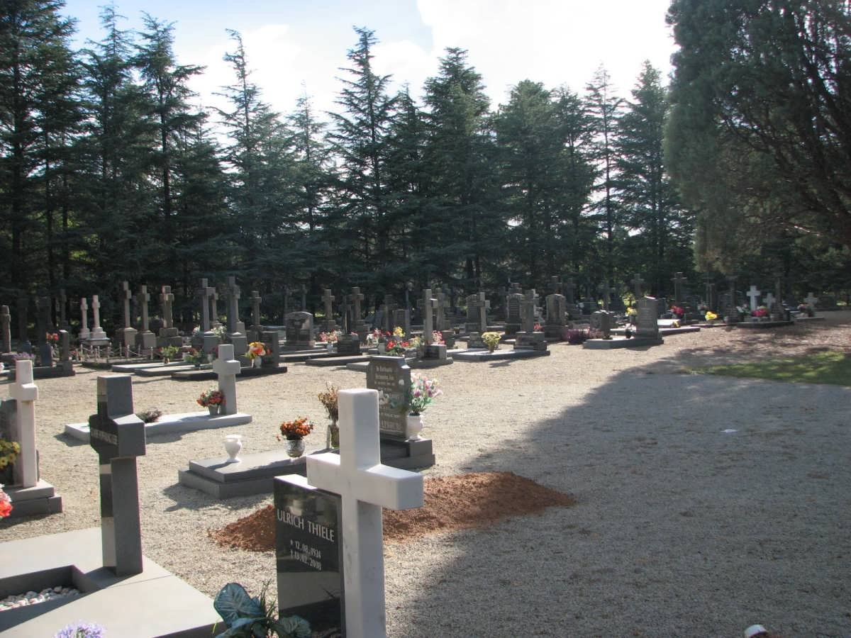5. Overview