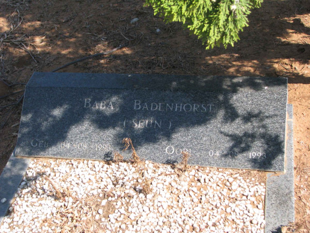 BADENHORST Baba 1993-1993