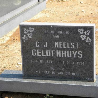 GELDENHUYS C.J. 1937-1994