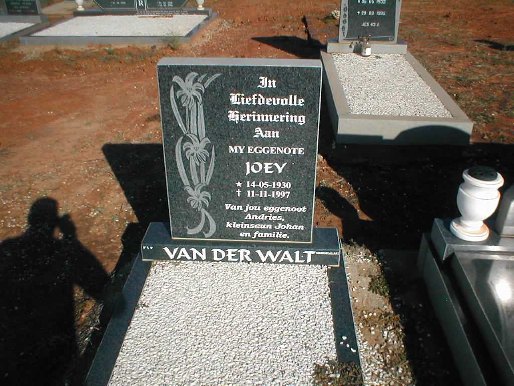 WALT Joey, van der 1930-1997