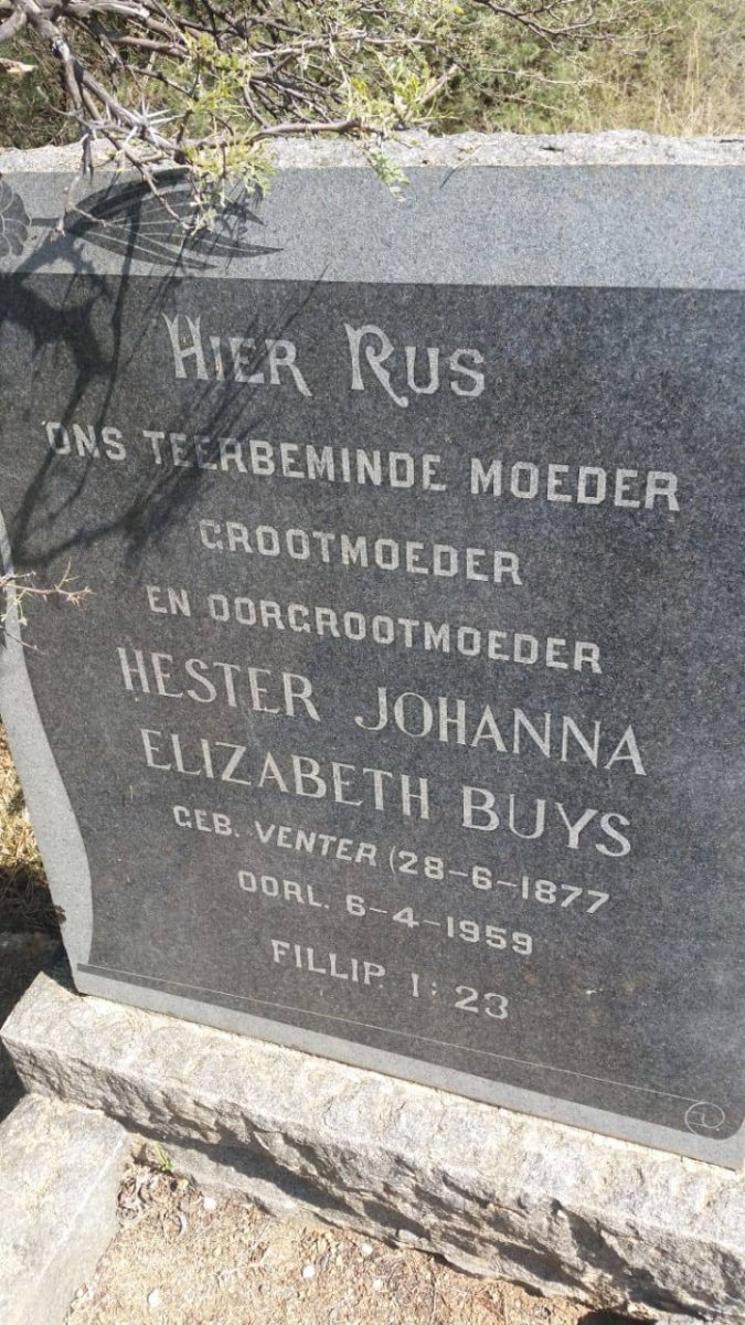 BUYS Hester Johanna Elizabeth nee VENTER 1877-1959