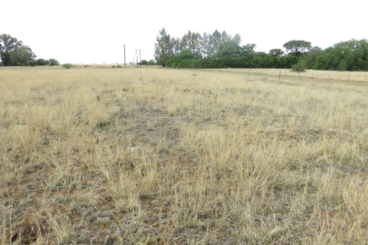 2. Overview