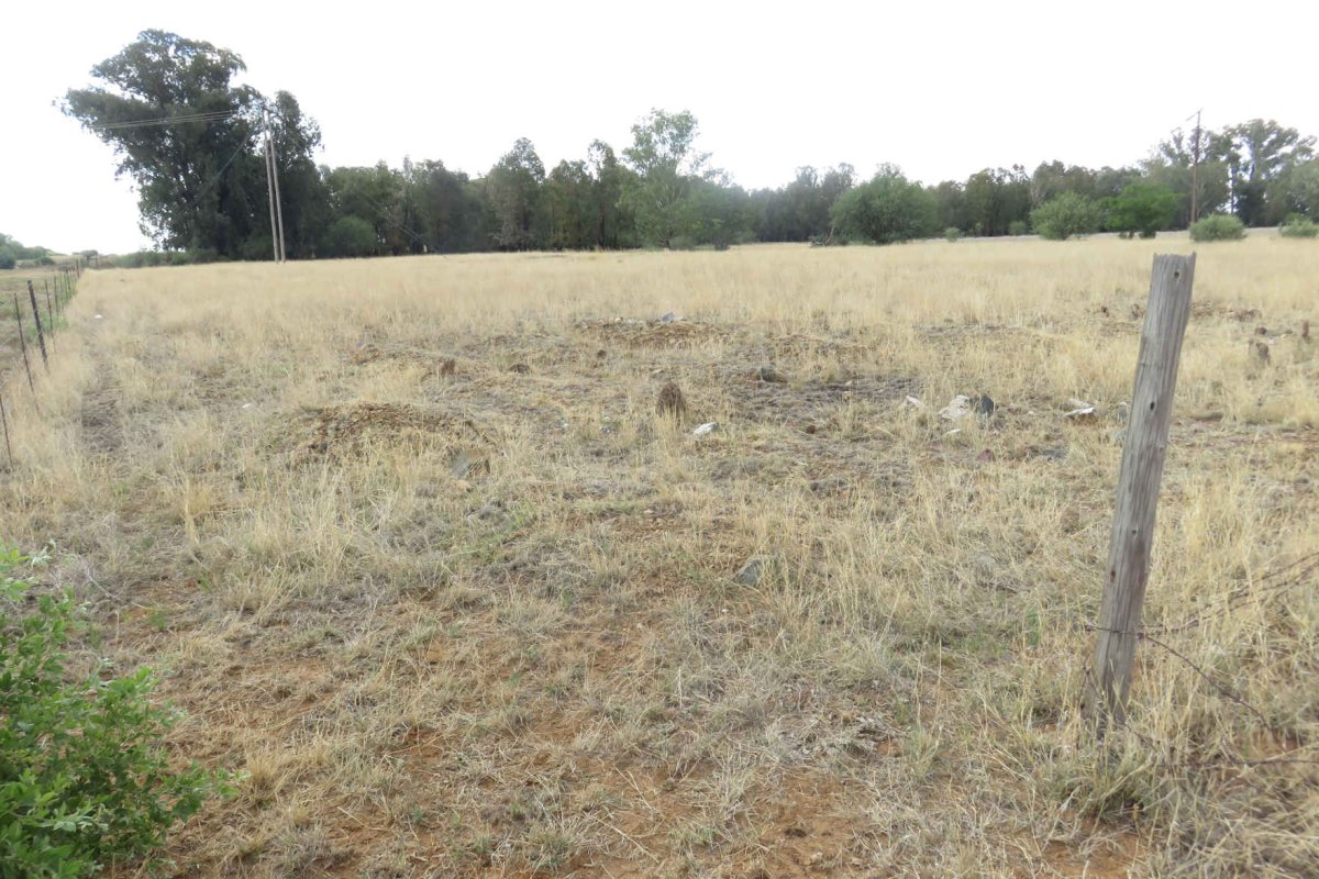 5. Unknown graves.
