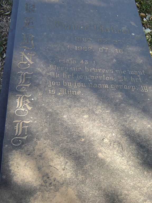 REYNEKE Gawie 1962-1982