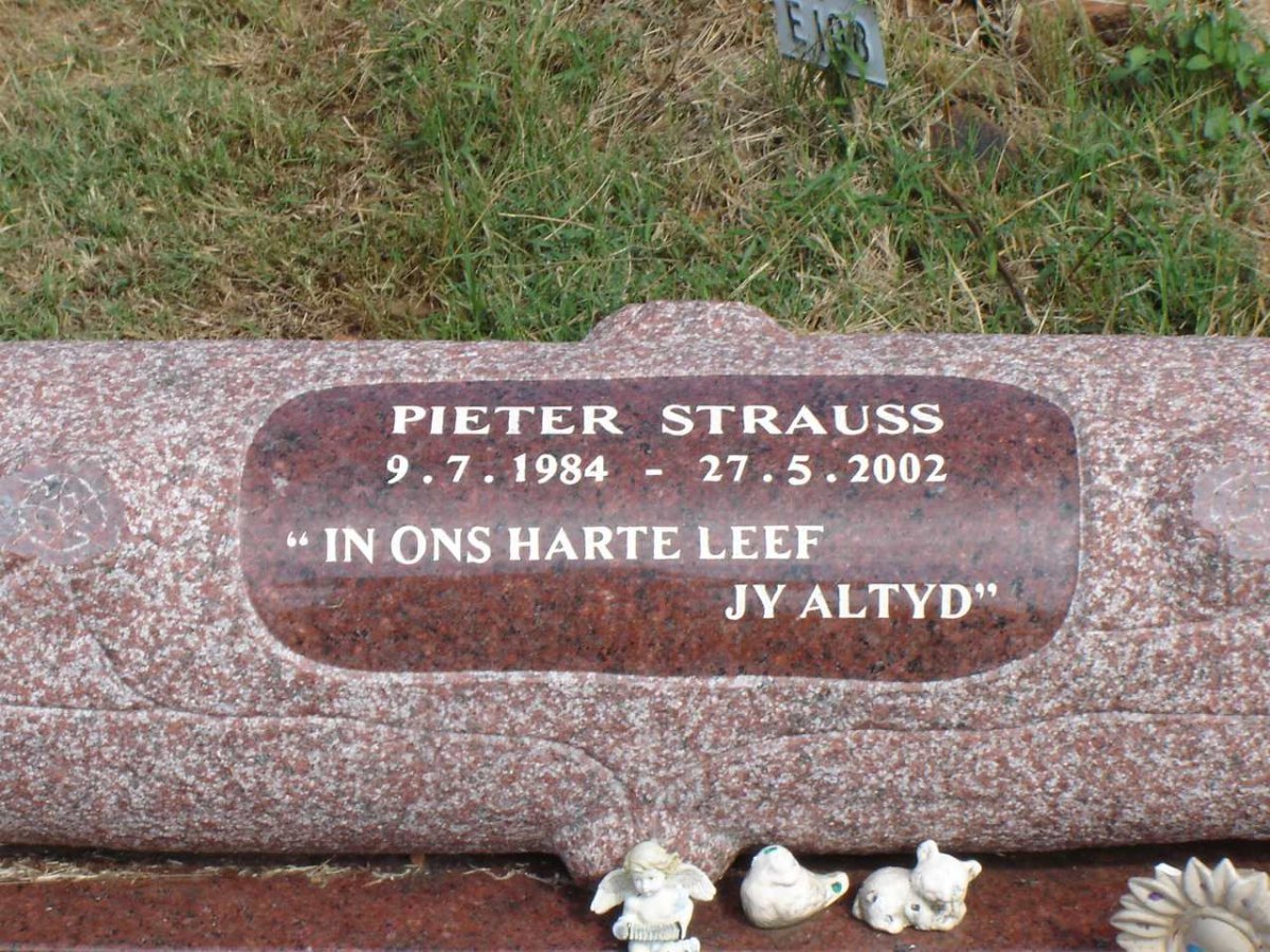 STRAUSS Pieter 1984-2002