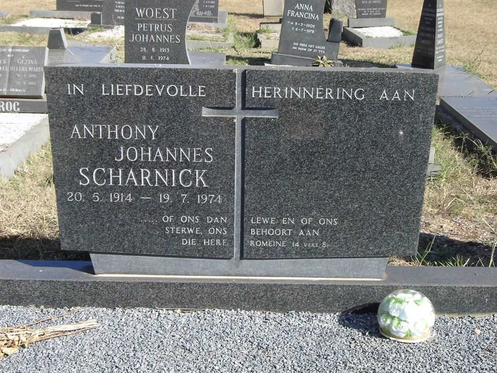 SCHARNICK Anthony Johannes 1914-1974