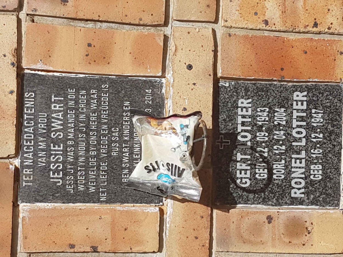 SWART :: LOTTER
