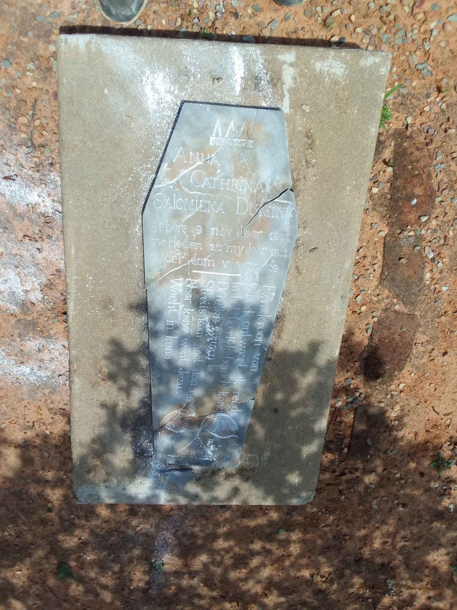 DUMINY Anna Cathrina Salomiena 1909-1910