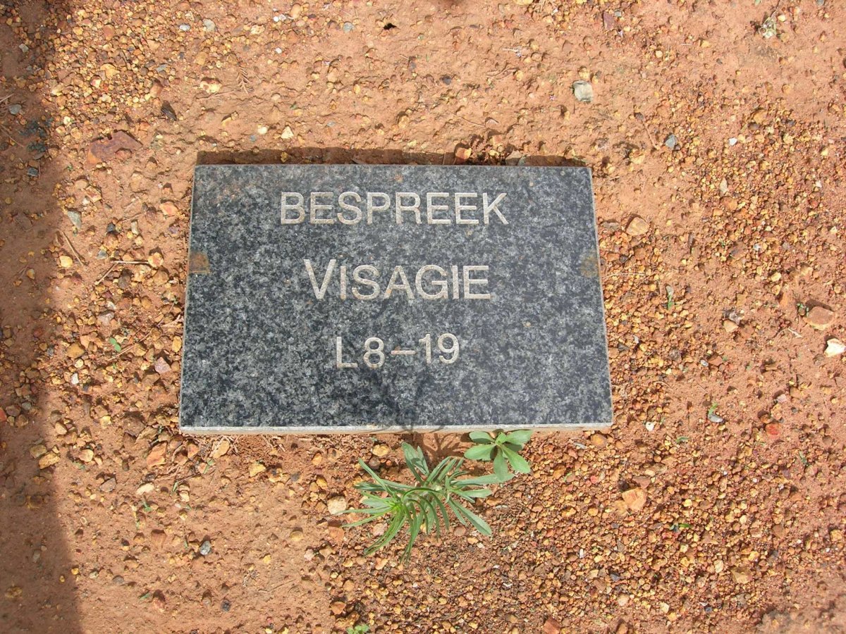 VISAGIE