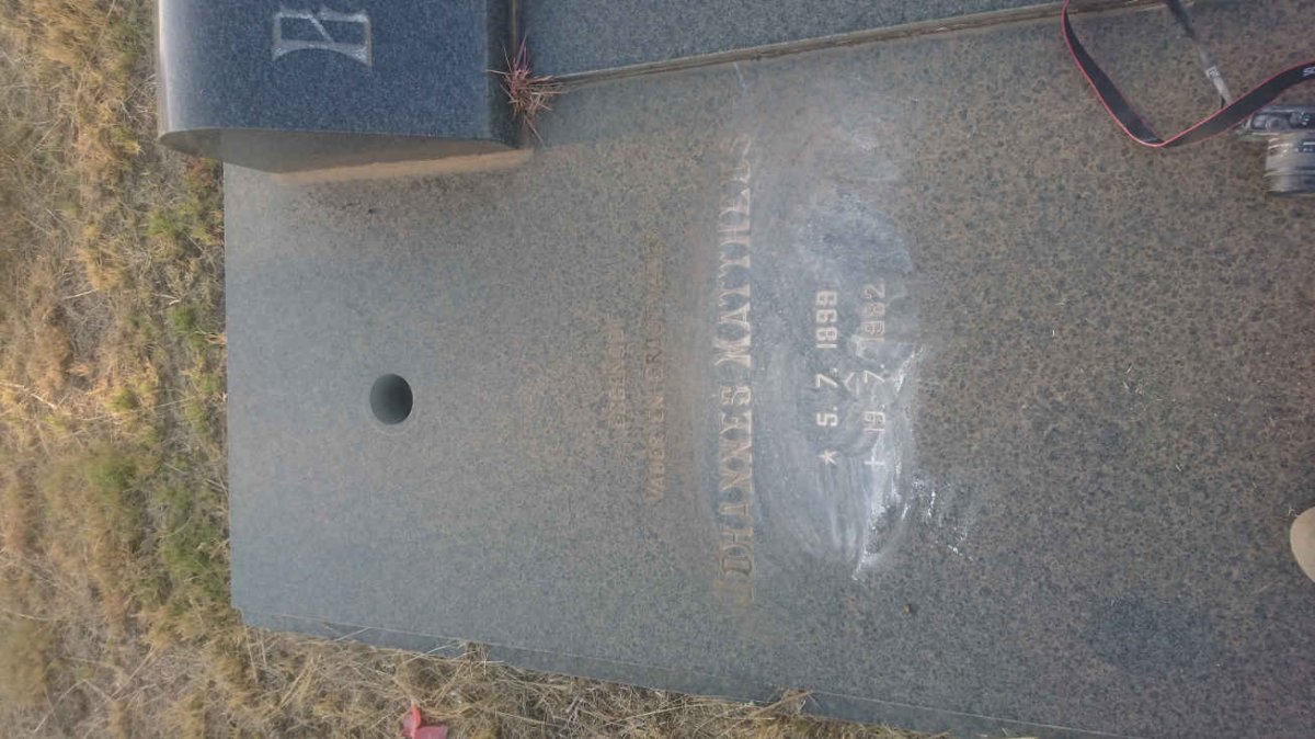 BRINK Johannes Mattheus 1899-1982