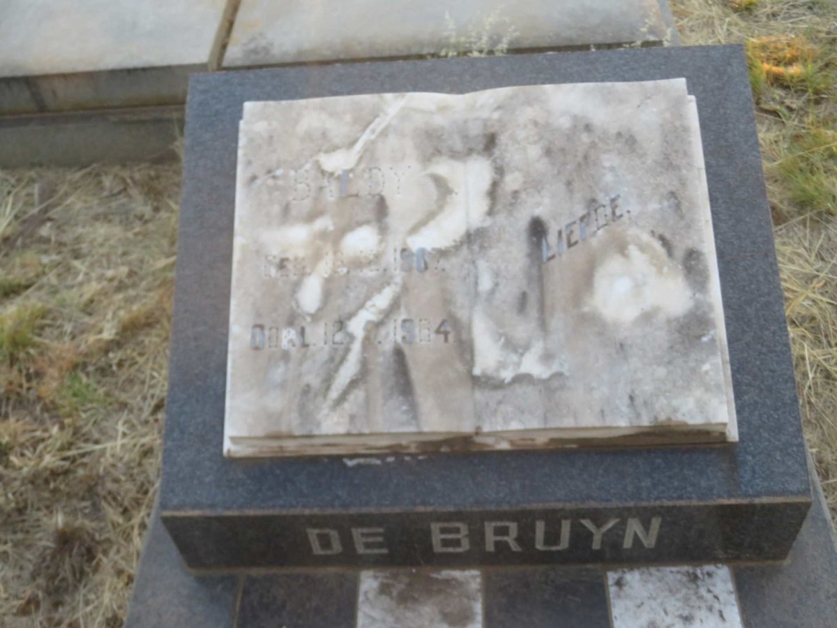 BRUYN Baldy, de 1907-1964